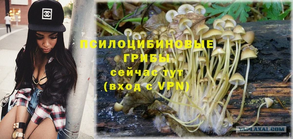 прущая мука Бородино