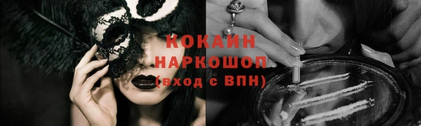 индика Бугульма