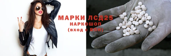 прущие грибы Бронницы