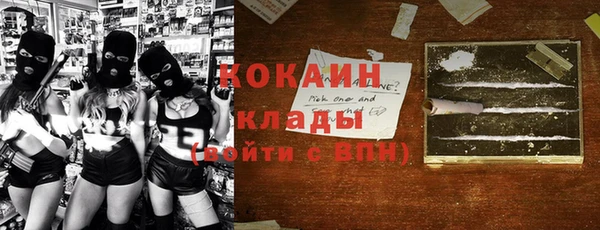 индика Бугульма