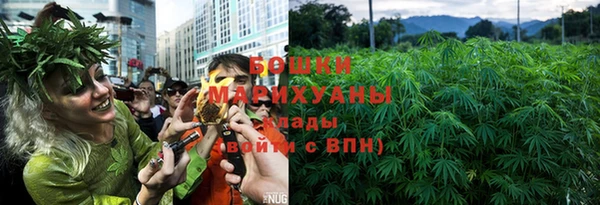 индика Бугульма
