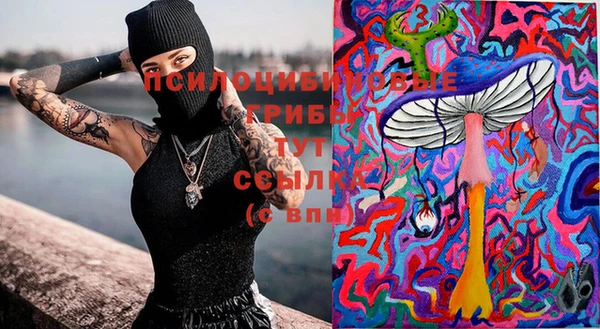 индика Бугульма