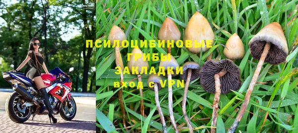 прущая мука Бородино