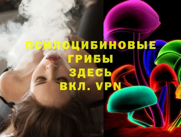прущая мука Бородино