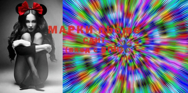 индика Бугульма