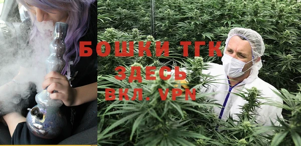 прущие грибы Бронницы