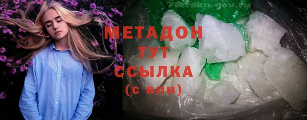 прущие грибы Бронницы