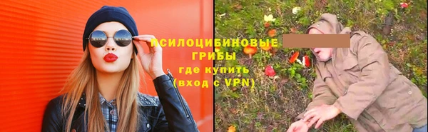 индика Бугульма
